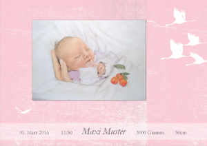 Kartendesign Storch Rosa