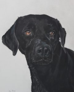Tierportrait, Portrait Hund, Inga Prasse